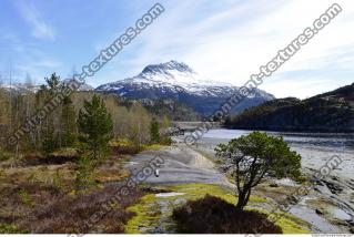 Photo Reference of Background Forest